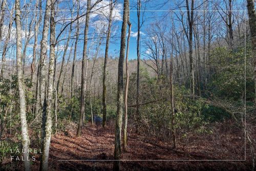 Lt D64 Rye Mountain Dr, Glenville, NC, 28736 | Card Image