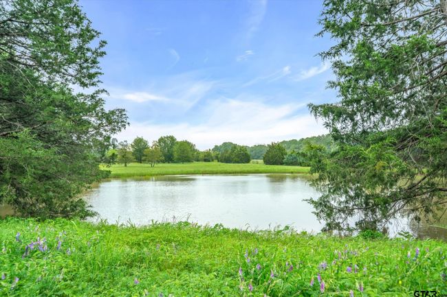 203 Private Road 3780, House other with 2 bedrooms, 2 bathrooms and null parking in Quinlan TX | Image 37