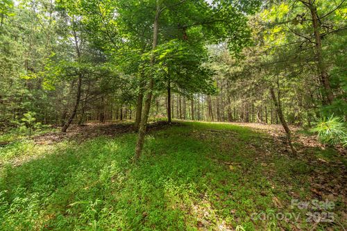 LOT 46 Black Forest Dr, Marion, NC, 28752-6887 | Card Image
