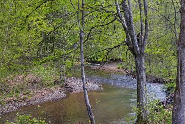 2631 Old Weatherford Creek Rd, Home with 0 bedrooms, 0 bathrooms and null parking in Lutts TN | Image 25