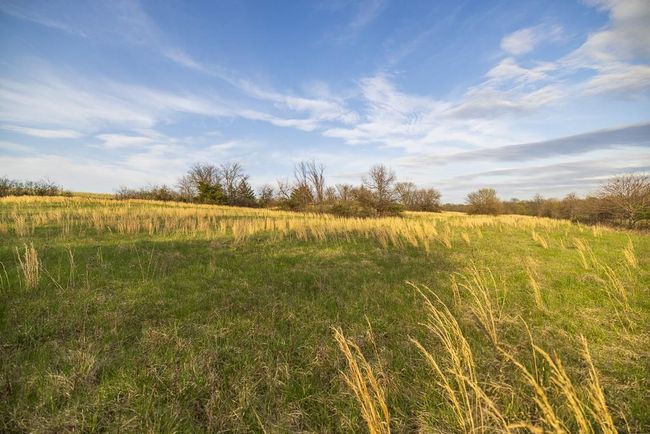 View of nature featuring a rural view | Image 78