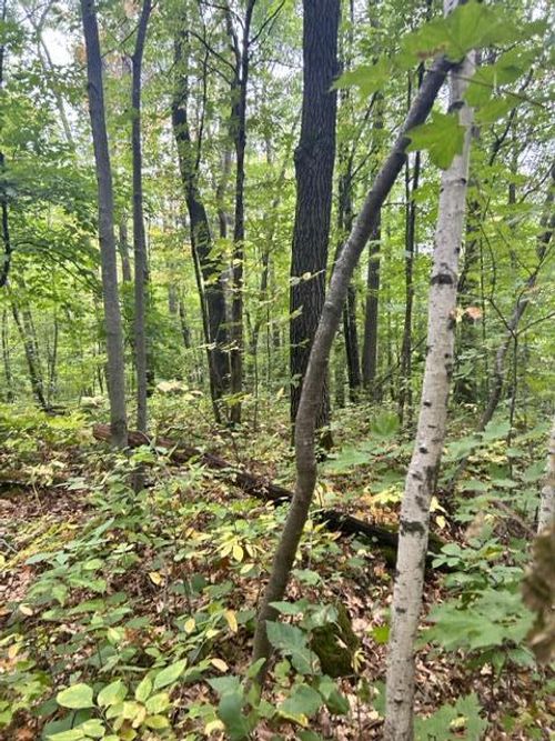 xxx Pebble Pass, Cushing, MN, 56443 | Card Image