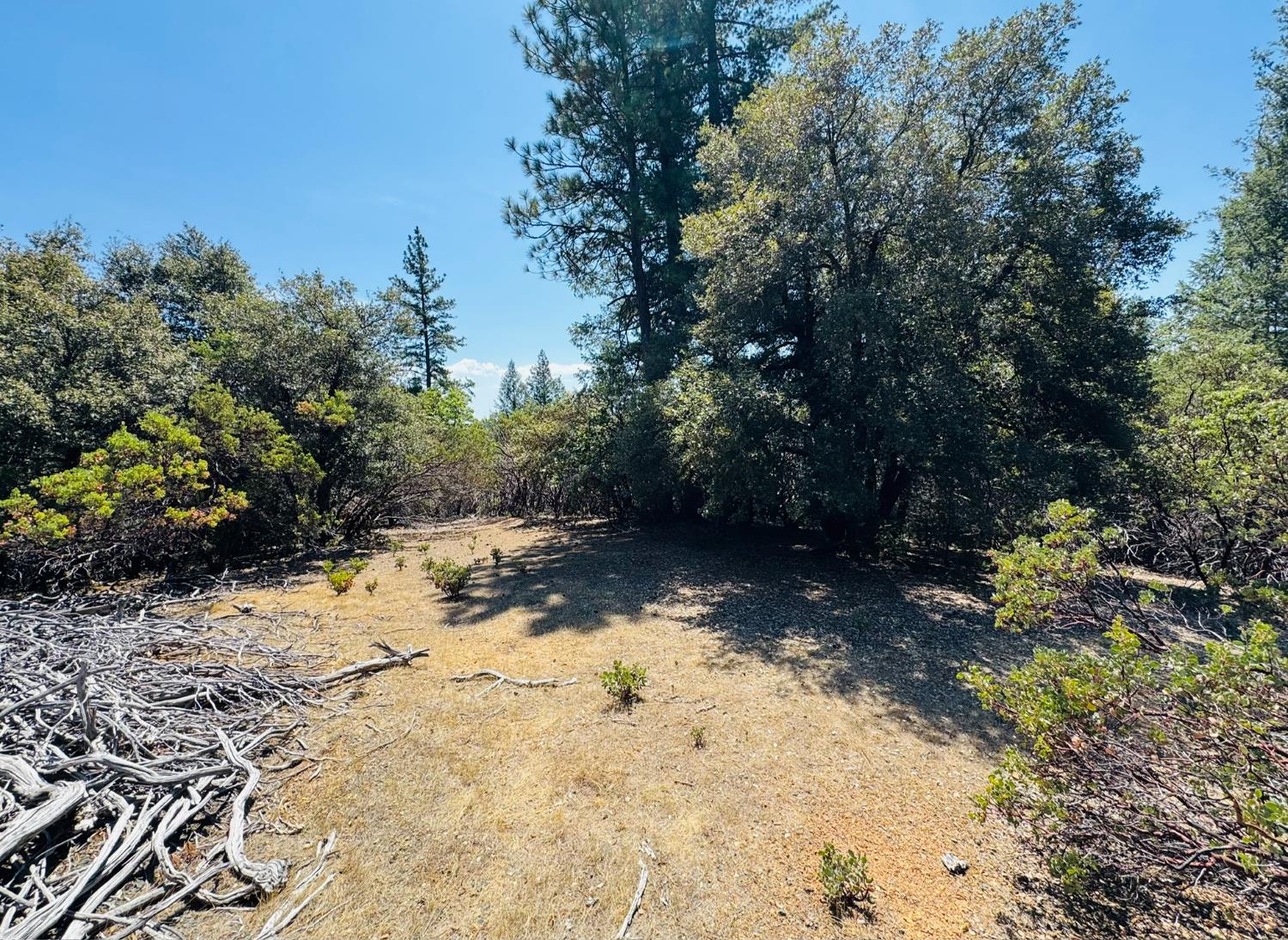 Land in Colfax 2