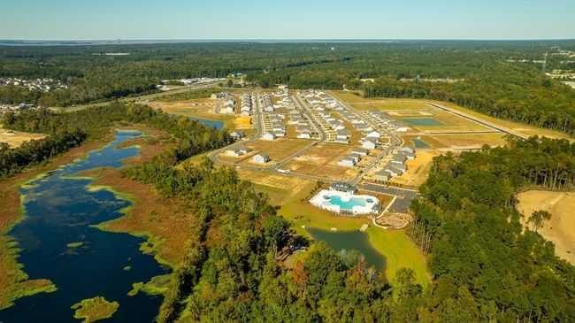 Carolina Groves_10_17_24_8 | Image 32