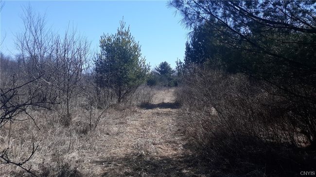 0 County Route 25, Home with 0 bedrooms, 0 bathrooms and null parking in Antwerp NY | Image 11