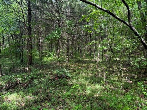 07 Teeters Rd, Morrison, TN, 37357 | Card Image