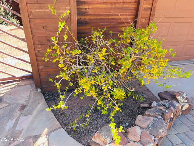 6442 W Ruin Hill Loop, House other with 3 bedrooms, 4 bathrooms and null parking in Pine AZ | Image 50