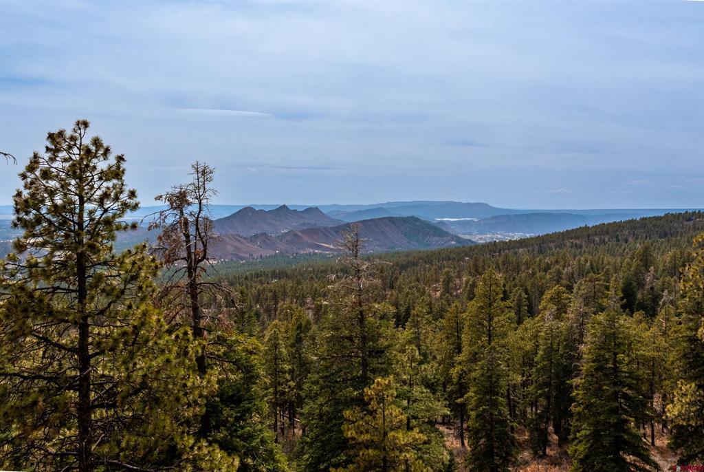 Land in Durango 4