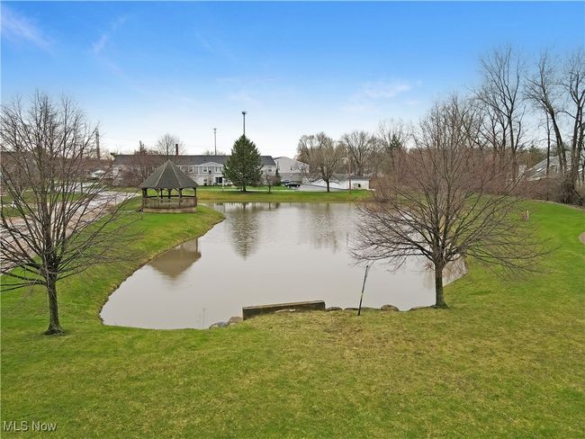 pond | Image 10