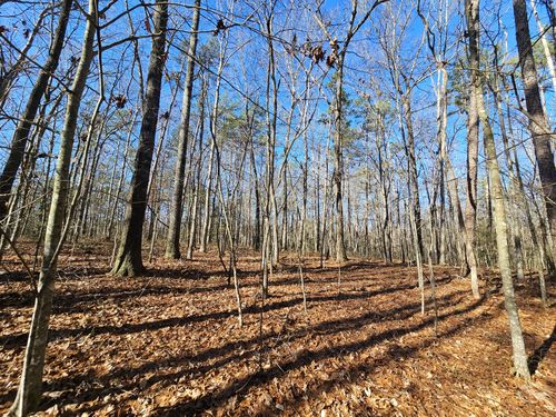 3 Woodfern Ln, Coalmont, TN, 37313 | Card Image