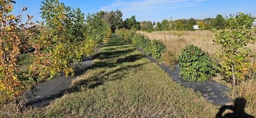 On Cactus Way, Mandan, ND, 58554 | Card Image