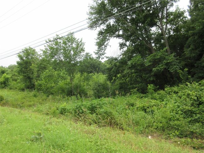 View of undeveloped land | Image 6