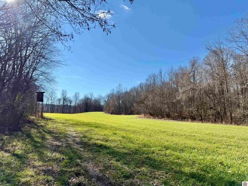 988 Chipps Rd, Smithland, KY, 42081-9482 | Card Image