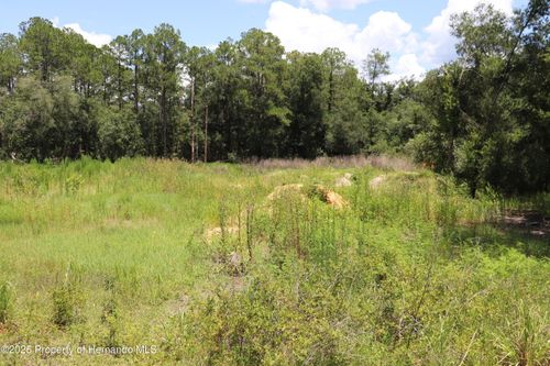 0 Bedstone Dr, WEBSTER, FL, 33597 | Card Image