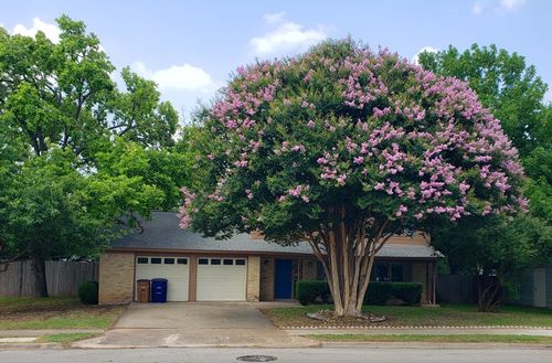 1504 Colony Creek Dr, Austin, TX, 78758-6510 | Card Image