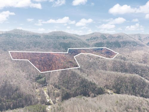 790 Dinah Blair Hollow Rd, Whitesburg, KY, 41858 | Card Image