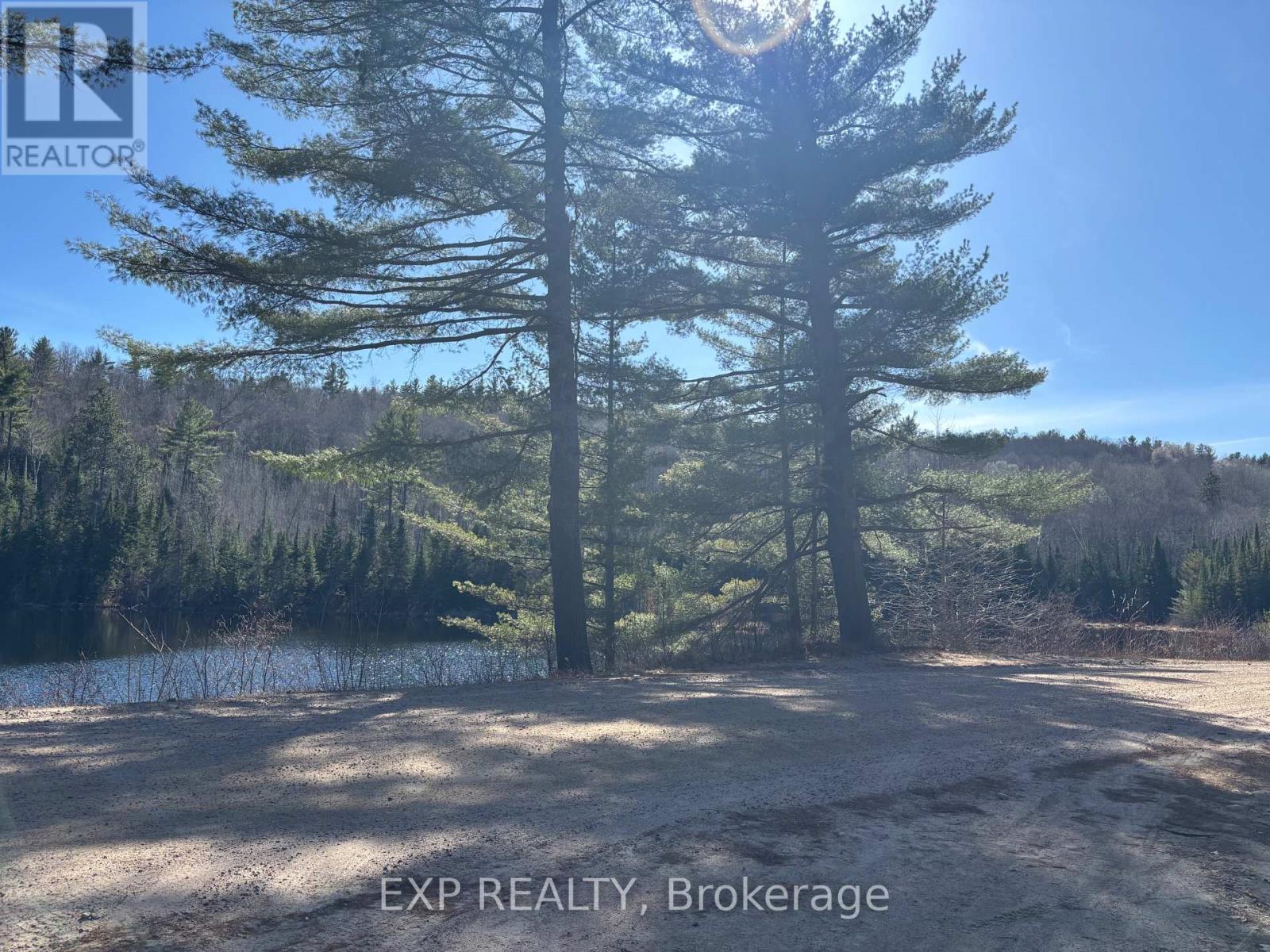 Land in Madawaska Valley 4