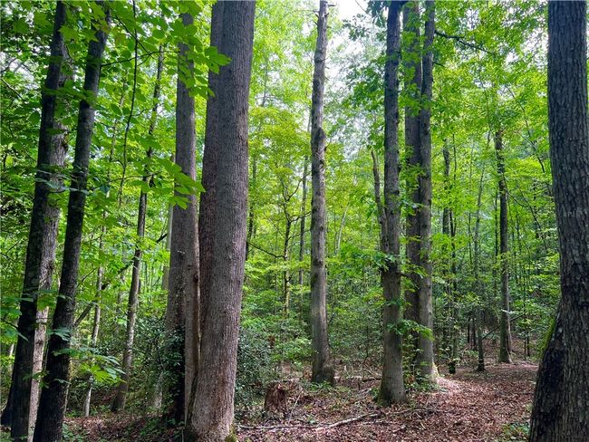 0 N Old Pendleton Rd, Home with 0 bedrooms, 0 bathrooms and null parking in Easley SC | Image 13