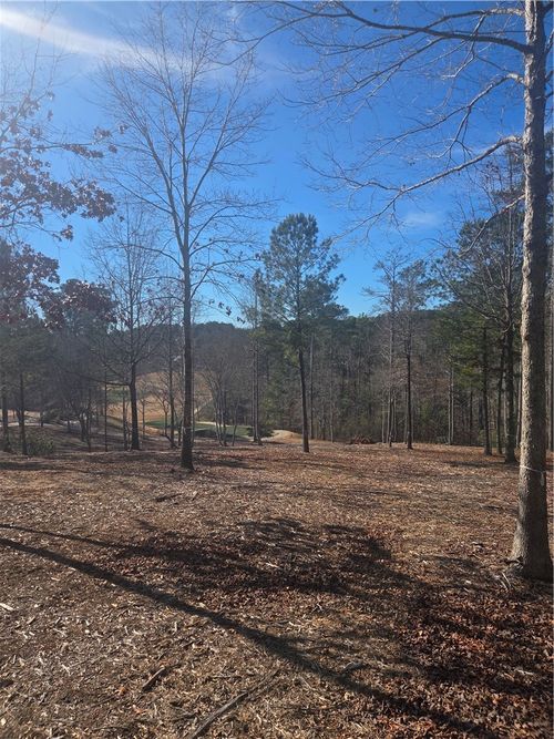 116 Bluebell Way, Sunset, SC, 29685-1862 | Card Image