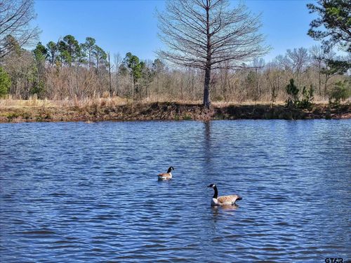 000 State Highway 64, Ben Wheeler, TX, 75754 | Card Image