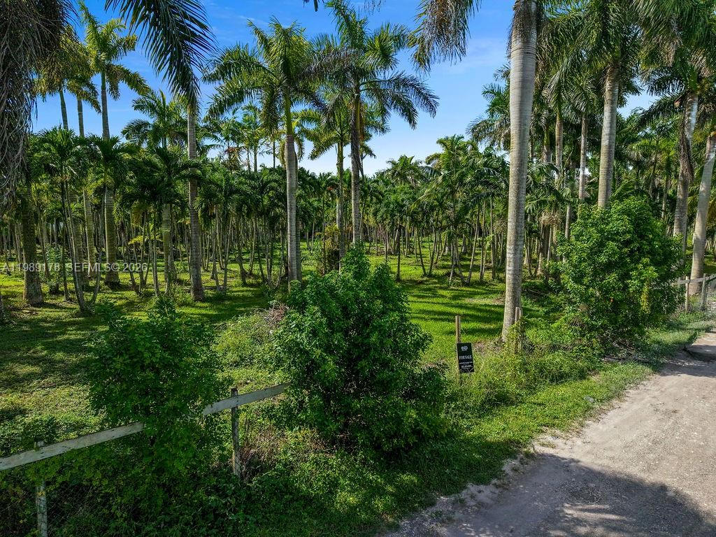 Land in Miami