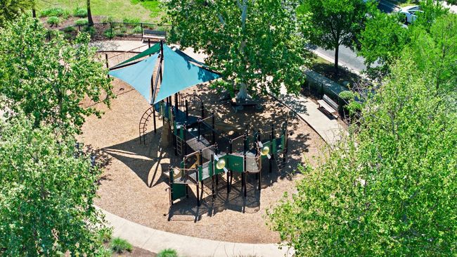 Bird's eye view | Image 40