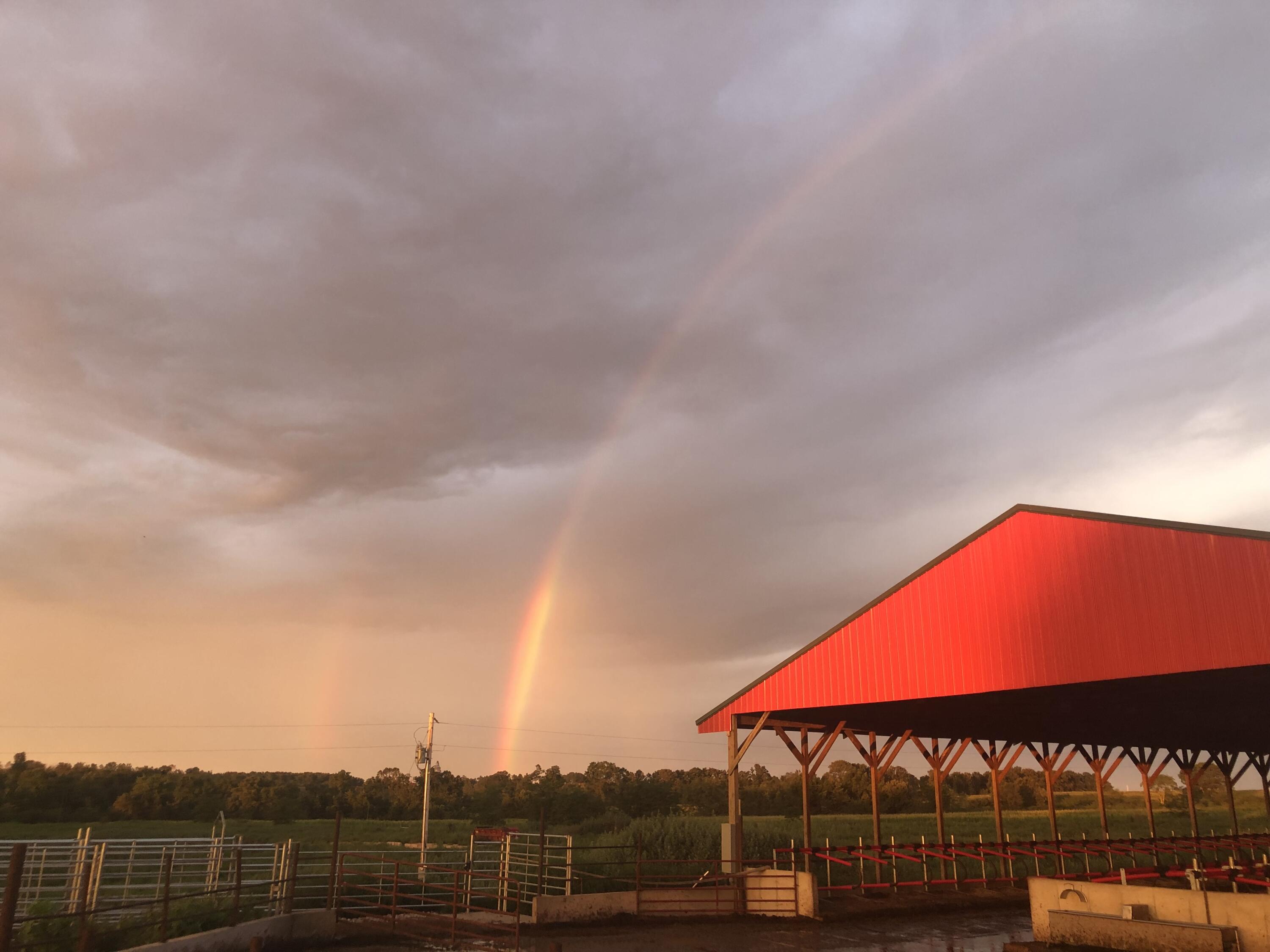 Farm in Bucyrus