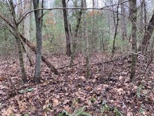 53 Llama Ln, Ellijay, GA, 30540 | Card Image