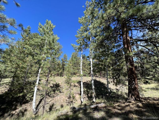 82 Kiowa Cir, Home with 0 bedrooms, 0 bathrooms and null parking in Westcliffe CO | Image 23