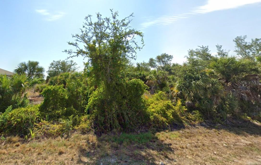 Land in PORT CHARLOTTE 4