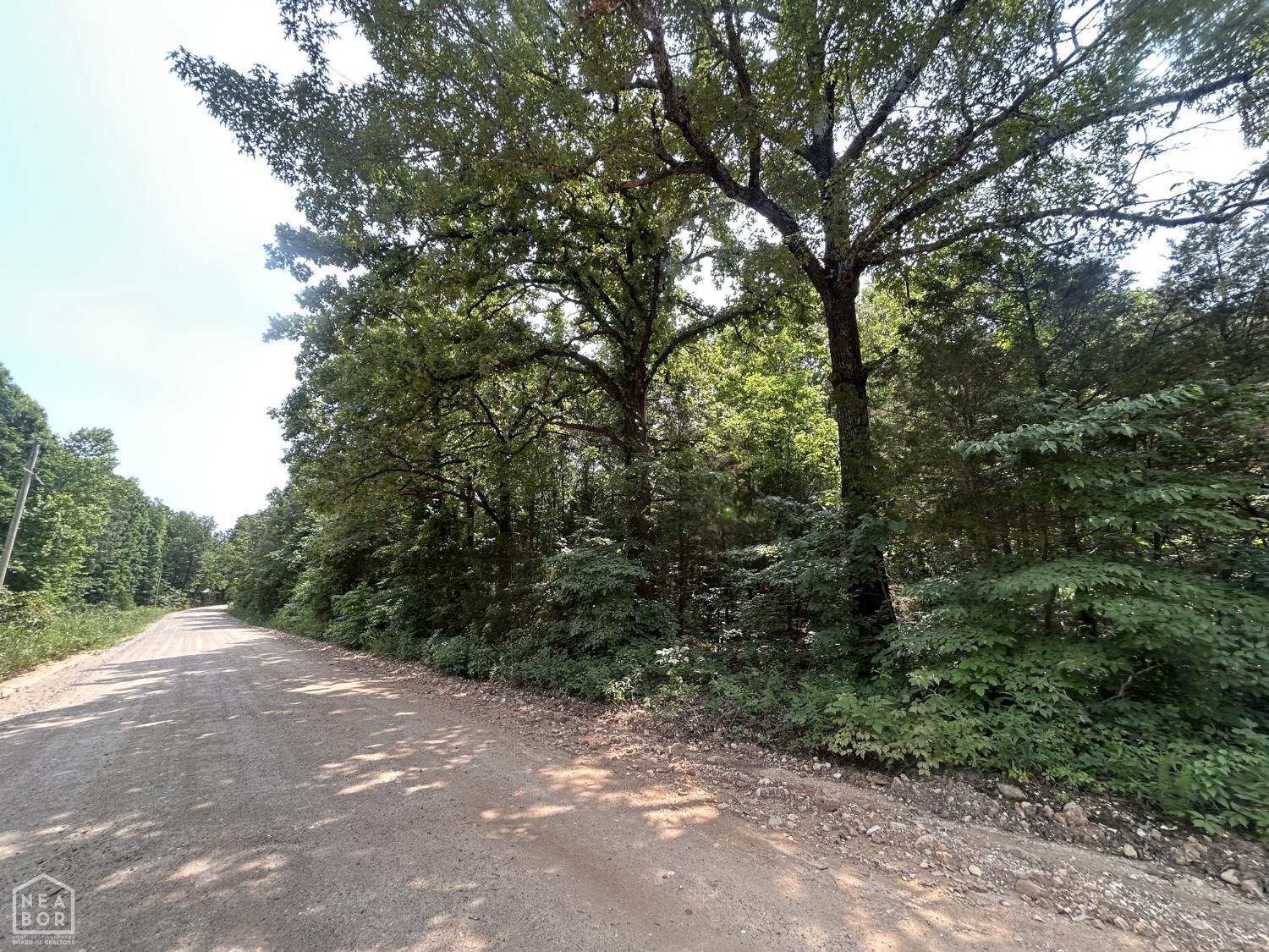 Land in Smithville 5