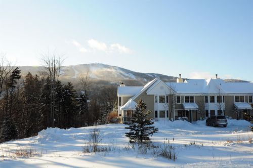 d-9D Dover Springs Ln, West Dover, VT, 05356-8815 | Card Image