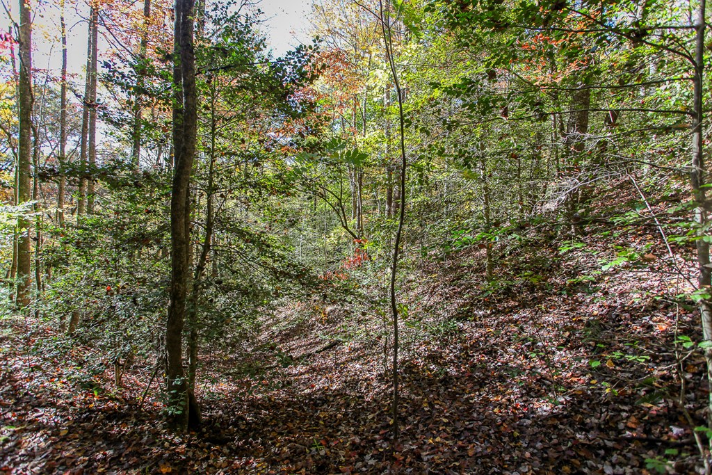 Land in Bryson City 2