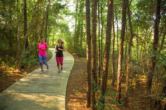 Miles of shaded jogging trails | Image 45