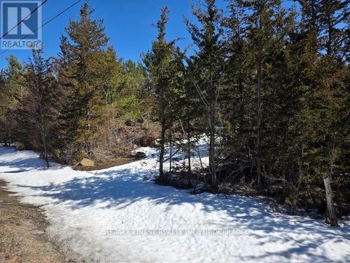 590 Love Road, Loyalist (Lennox and Addington - South), ON, K0H2H0 | Card Image