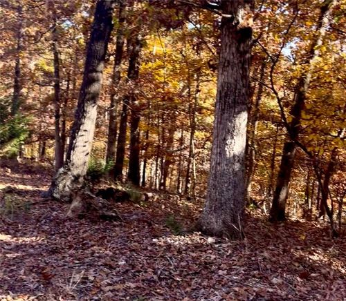 Lot 3, Block 3 Bridgeport Lane, Bella Vista, AR, 72715 | Card Image