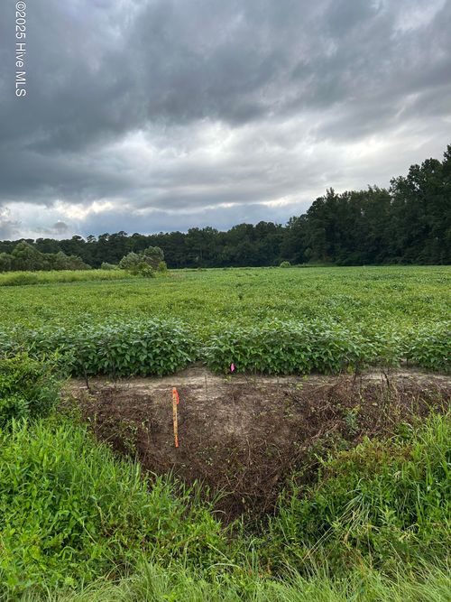 1 Hc Powers Rd, Wallace, NC, 28466-8259 | Card Image