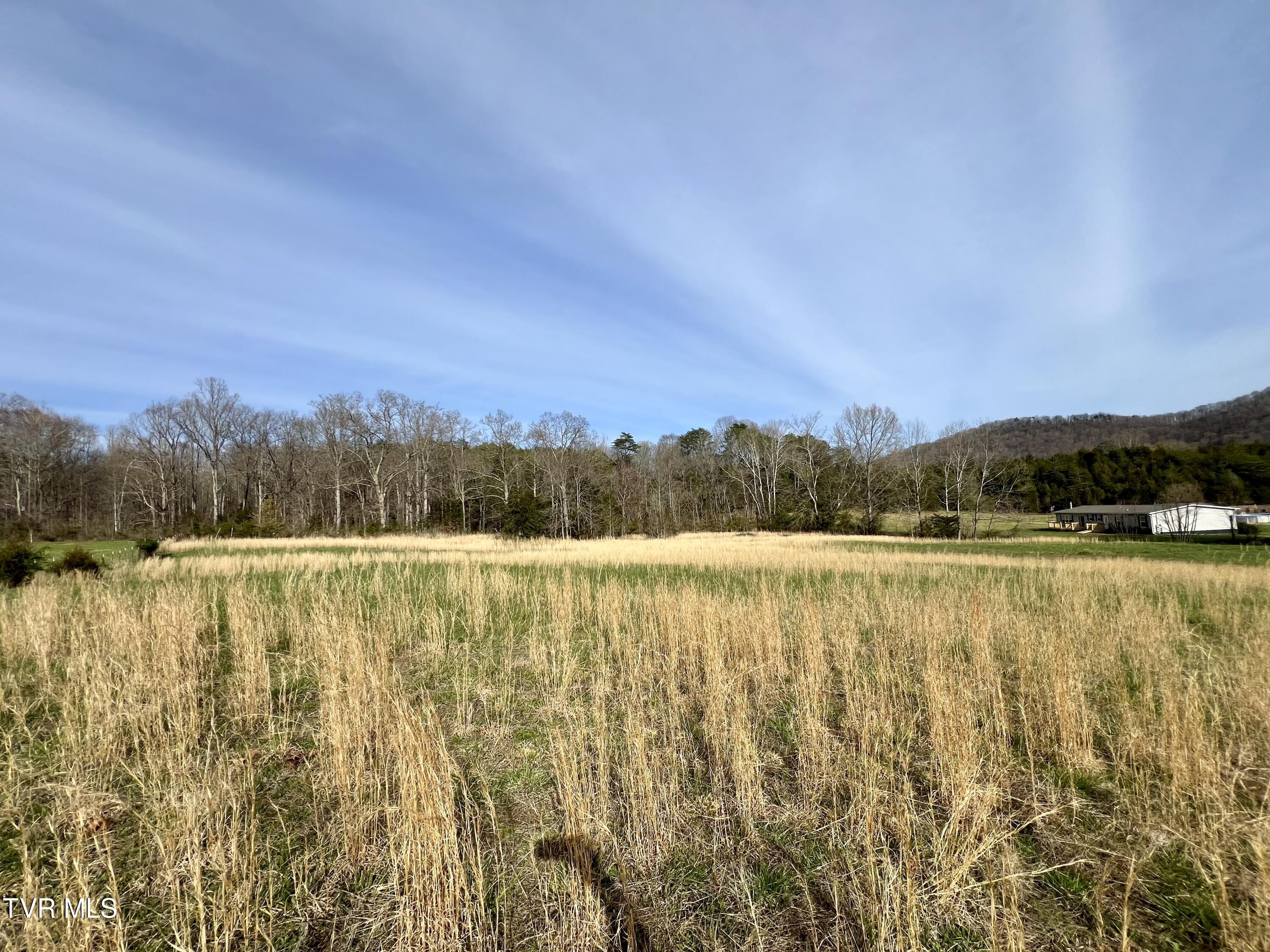 Land in Mooresburg 3
