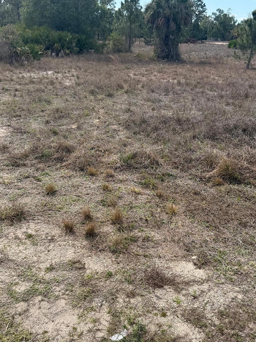 Land in LEHIGH ACRES