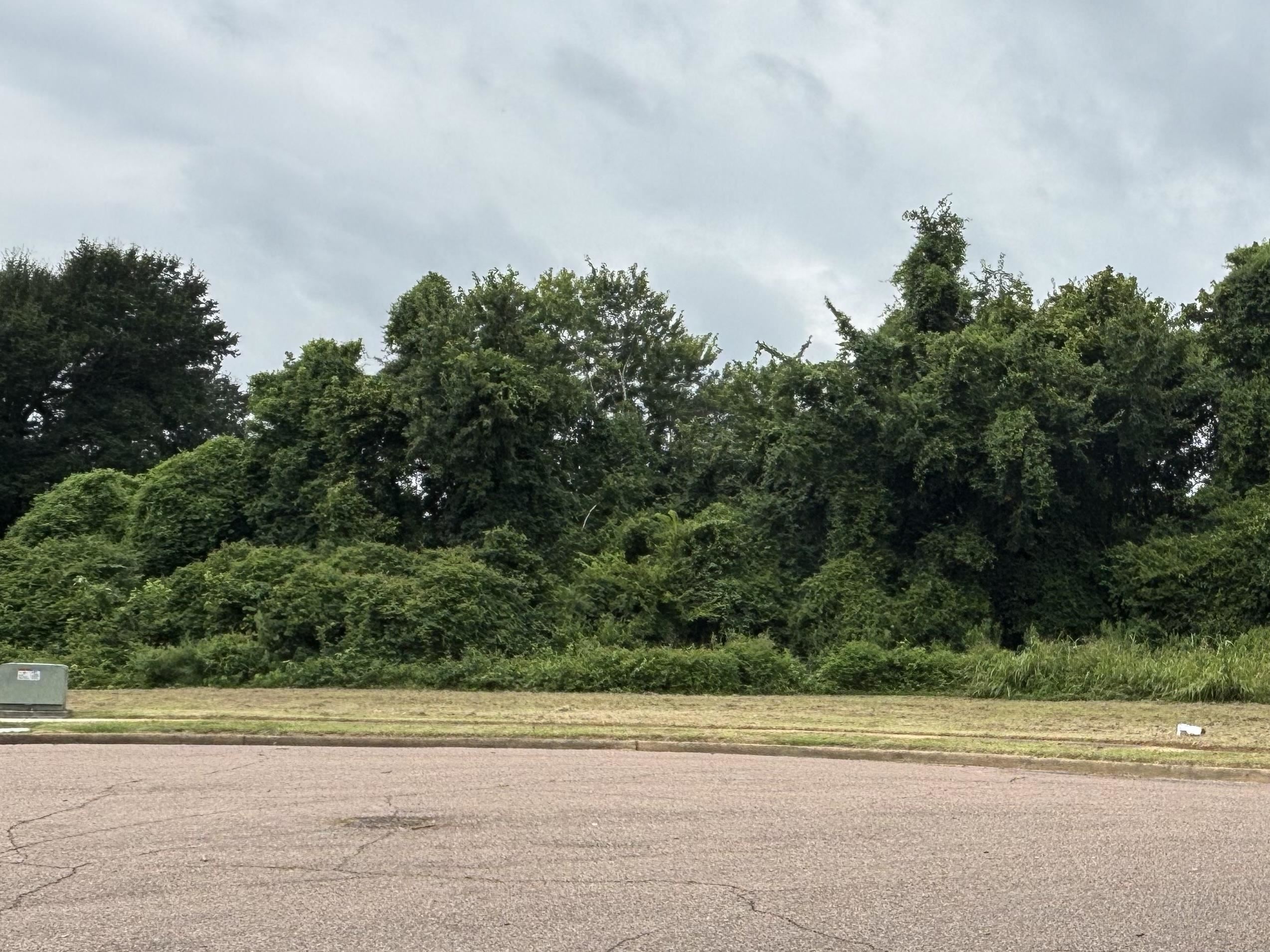 Land in Memphis