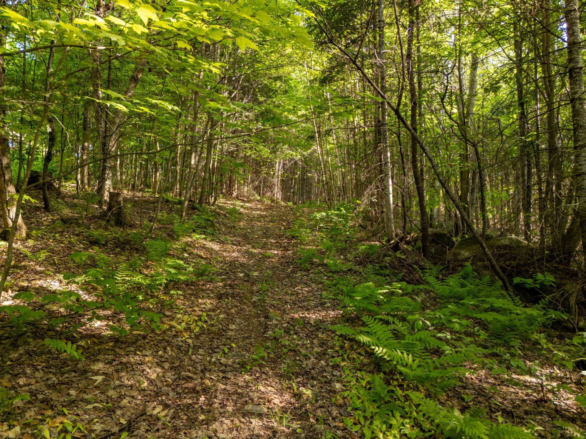 Land in Lac-Supérieur 3