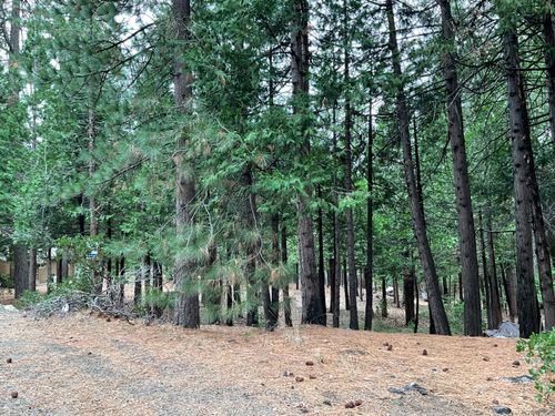 3065 Apache Rd, Arnold, CA, 95223 | Card Image