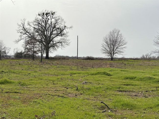 TRACT-0 - TBD County Road 2425, Home with 0 bedrooms, 0 bathrooms and null parking in Como TX | Image 16