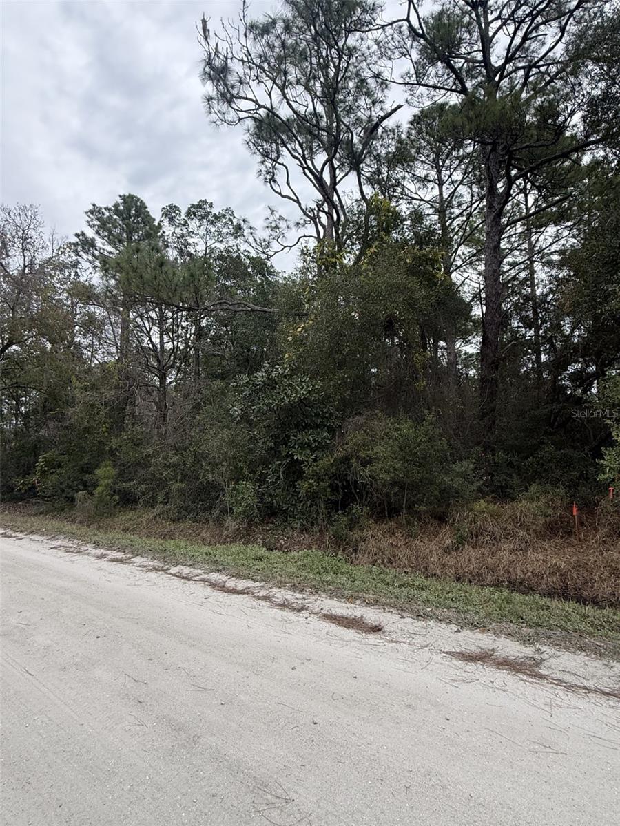 Land in DELAND