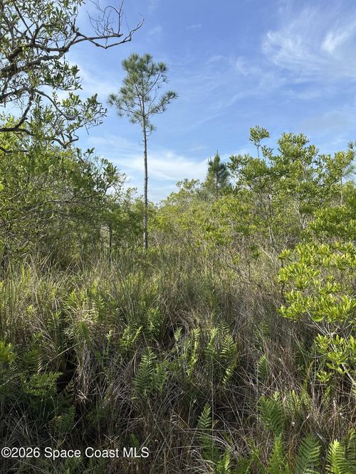 0 Unknown Avenue, Cocoa, FL, 32926 | Card Image