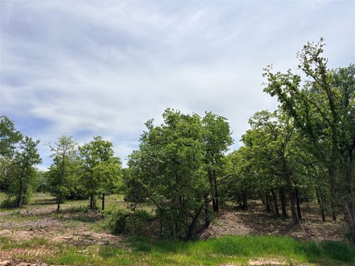 135 Turtle Back Ridge, Decatur, TX, 76234 | Card Image