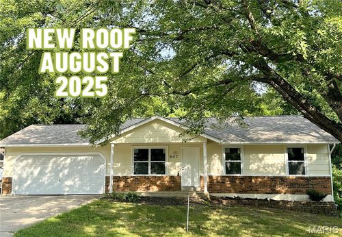 807 Corey Ct, Wentzville, MO, 63385-1141 | Card Image