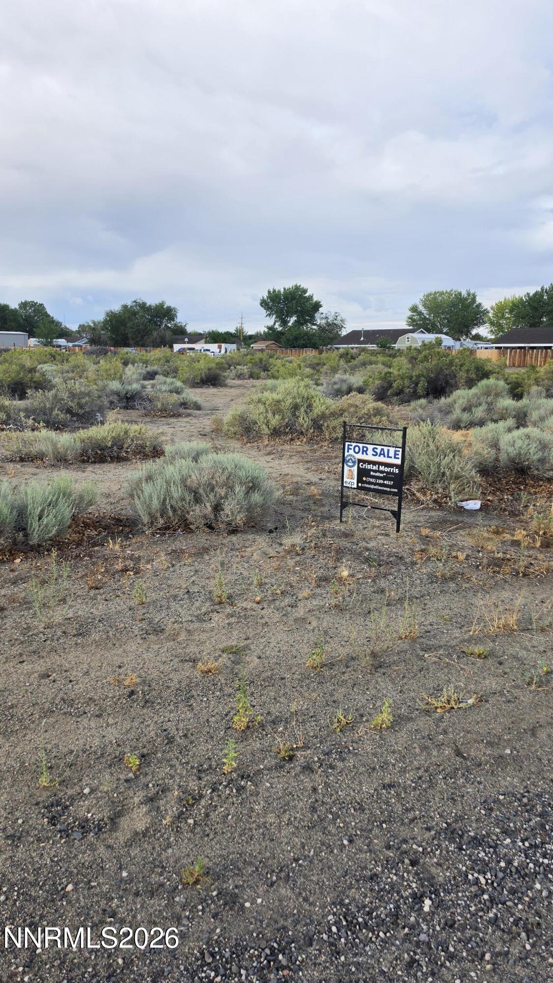 Land in Fallon 5