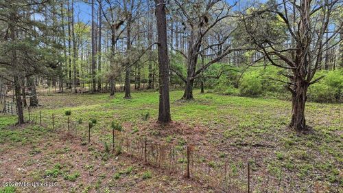 0 Harrisville Braxton Rd, Braxton, MS, 39044 | Card Image