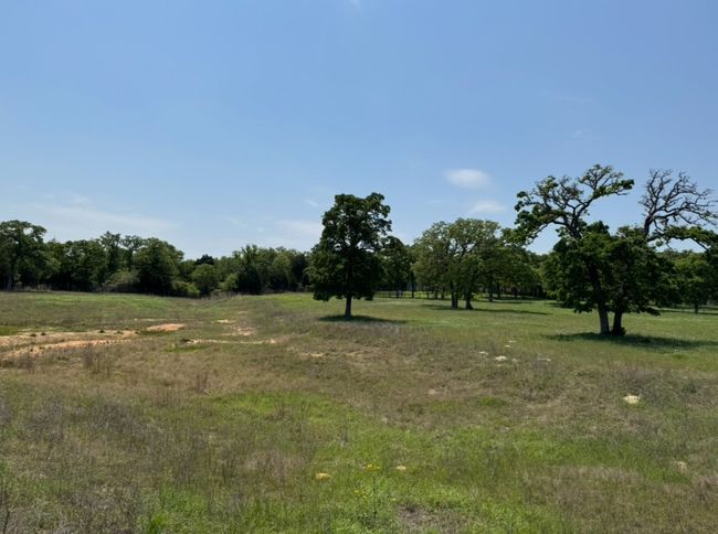 View of local wilderness with a rural view | Image 16